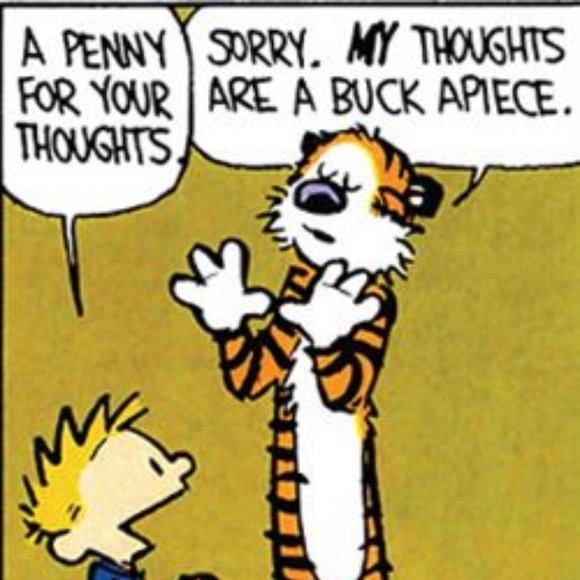 Meet your Posher, Chloe - Picture 3 of 5